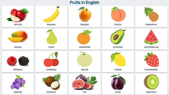 Dạy bé bằng hình ảnh sinh động